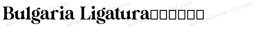 Bulgaria Ligatura字体转换